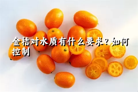 金桔对水质有什么要求？如何控制