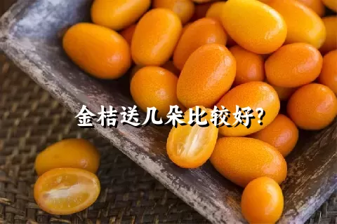 金桔送几朵比较好？