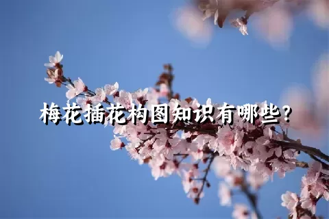 梅花插花构图知识有哪些？