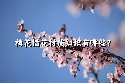 梅花插花材质知识有哪些？