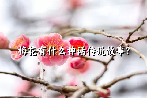 梅花有什么神话传说故事？