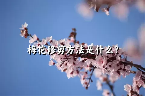 梅花修剪方法是什么？