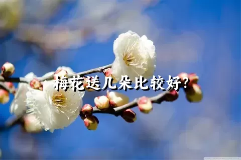 梅花送几朵比较好？