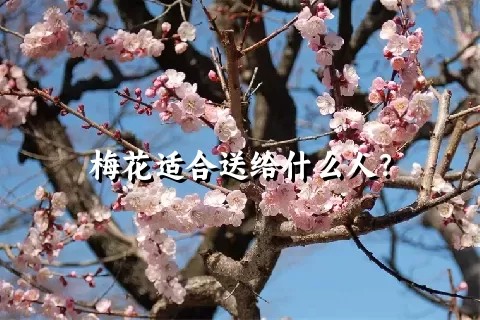 梅花适合送给什么人？