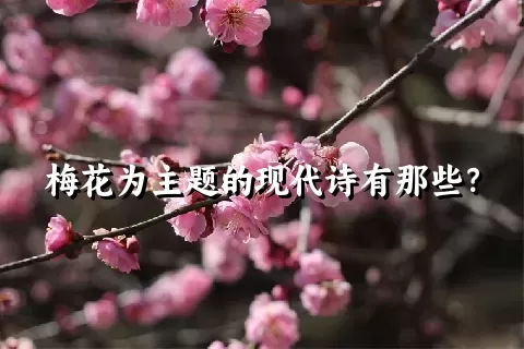 梅花为主题的现代诗有那些？