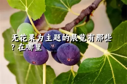 无花果为主题的展览有那些？在哪里