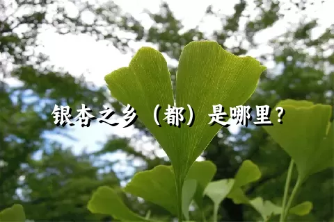 银杏之乡（都）是哪里？