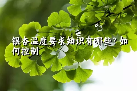 银杏温度要求知识有哪些？如何控制