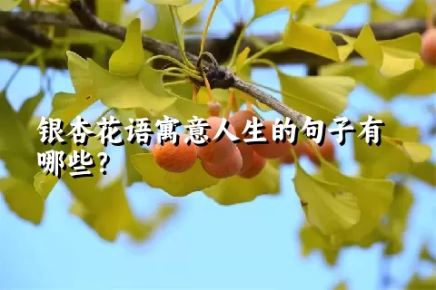 银杏花语寓意人生的句子有哪些？