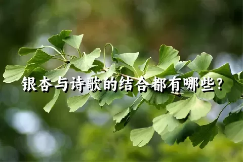 银杏与诗歌的结合都有哪些？