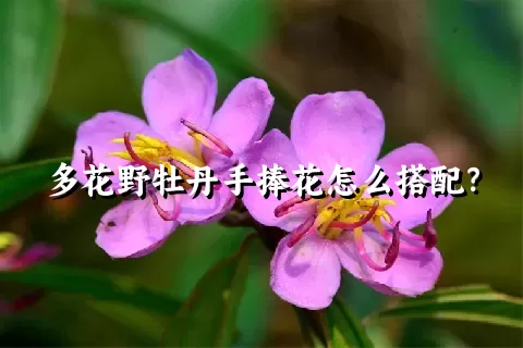 多花野牡丹手捧花怎么搭配？