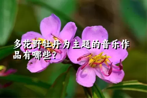 多花野牡丹为主题的音乐作品有哪些？