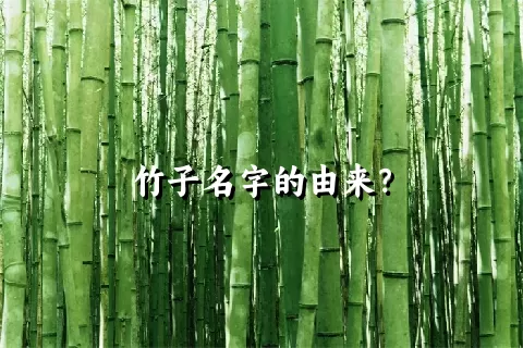 竹子名字的由来？