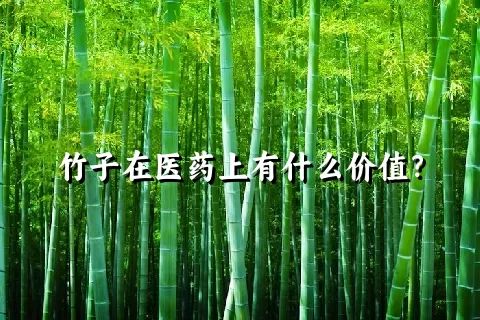 竹子在医药上有什么价值？