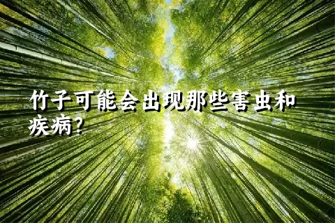 竹子可能会出现那些害虫和疾病？