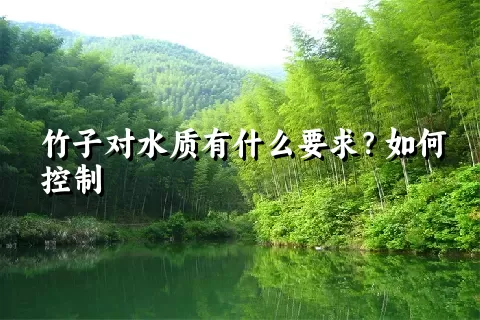 竹子对水质有什么要求？如何控制