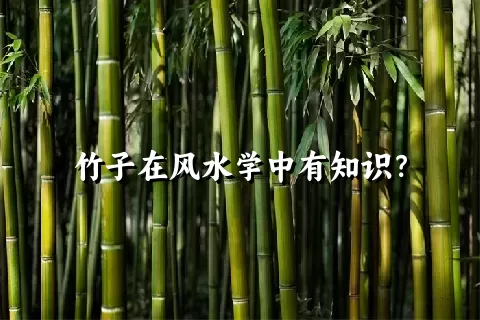 竹子在风水学中有知识？