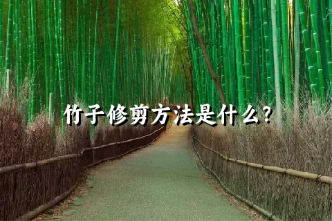 竹子修剪方法是什么？