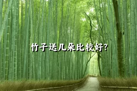 竹子送几朵比较好？