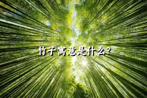 竹子寓意是什么？