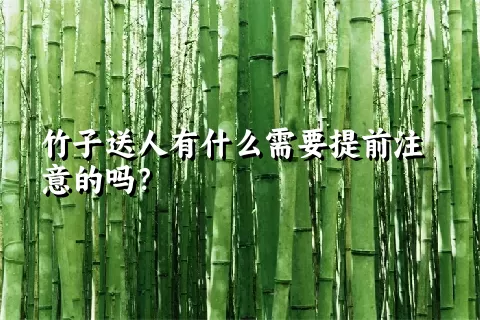 竹子送人有什么需要提前注意的吗？