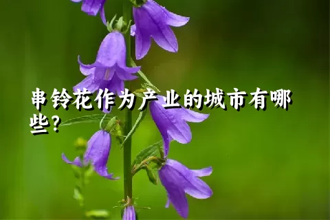 串铃花作为产业的城市有哪些？