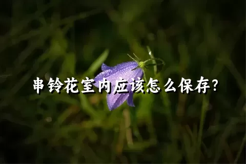 串铃花室内应该怎么保存？