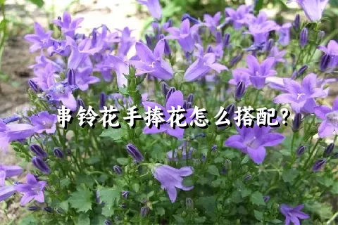 串铃花手捧花怎么搭配？