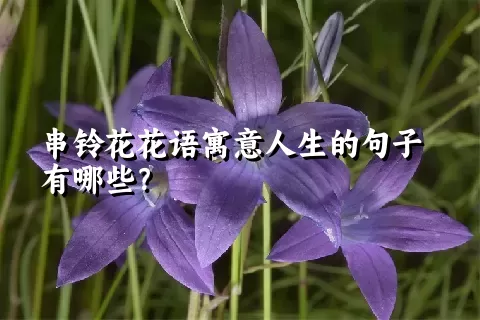 串铃花花语寓意人生的句子有哪些？