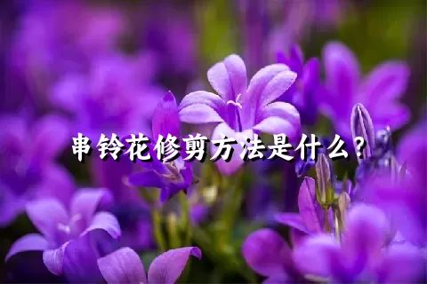 串铃花修剪方法是什么？