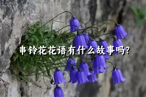 串铃花花语有什么故事吗？