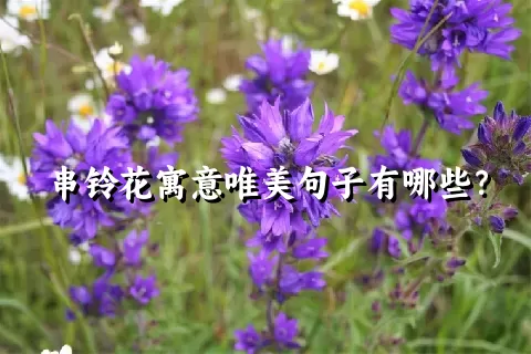 串铃花寓意唯美句子有哪些？