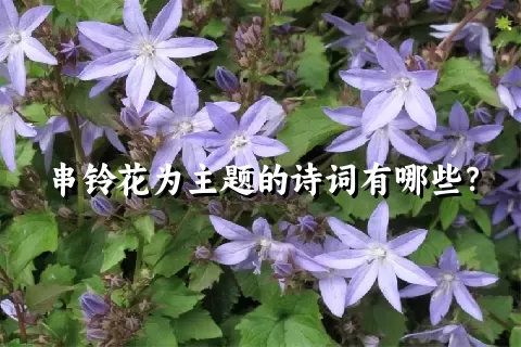 串铃花为主题的诗词有哪些？