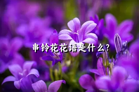 串铃花花语是什么？