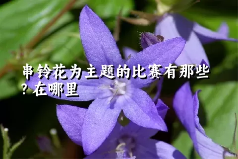 串铃花为主题的比赛有那些？在哪里