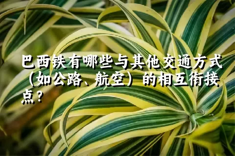 巴西铁有哪些与其他交通方式（如公路、航空）的相互衔接点？