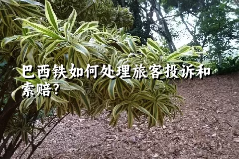 巴西铁如何处理旅客投诉和索赔？