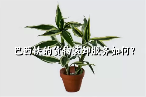 巴西铁的货物装卸服务如何？