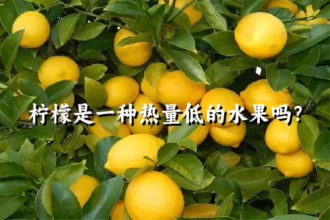 柠檬是一种热量低的水果吗？