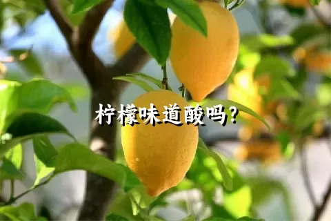 柠檬味道酸吗？