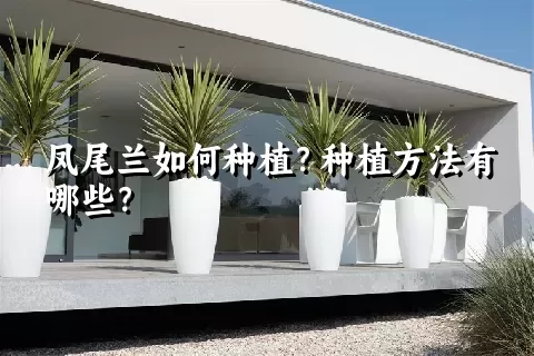 凤尾兰如何种植？种植方法有哪些？