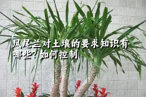 凤尾兰对土壤的要求知识有哪些？如何控制