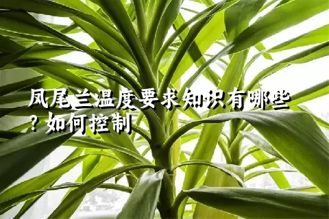 凤尾兰温度要求知识有哪些？如何控制