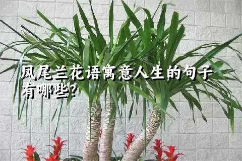 凤尾兰花语寓意人生的句子有哪些？