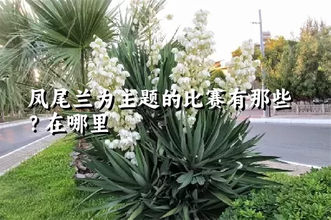 凤尾兰为主题的比赛有那些？在哪里