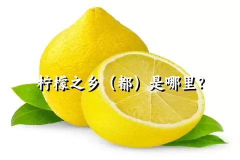 柠檬之乡（都）是哪里？