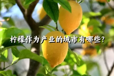 柠檬作为产业的城市有哪些？