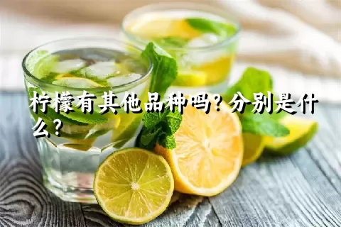 柠檬有其他品种吗？分别是什么？