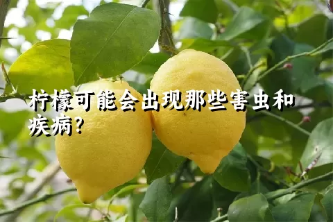 柠檬可能会出现那些害虫和疾病？