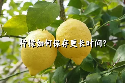 柠檬如何保存更长时间？